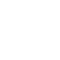 专业