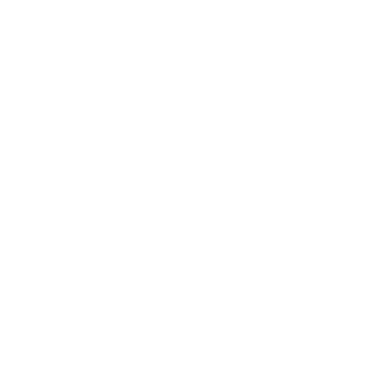 专业